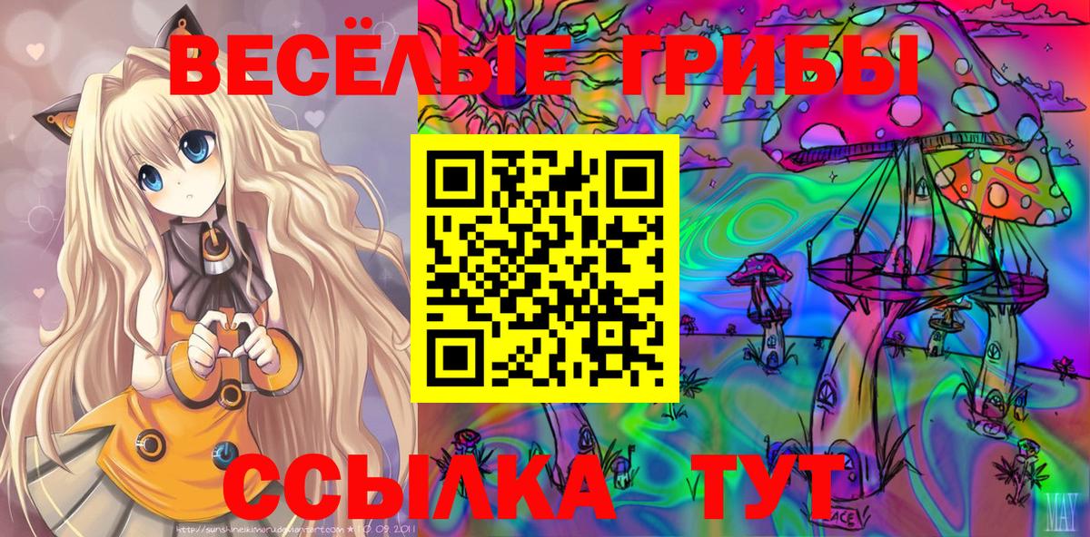 Галлюциногенные грибы GOLDEN TEACHER  Псилоцибиновые грибы Magic Shrooms  Вход с VPN  Гуково 