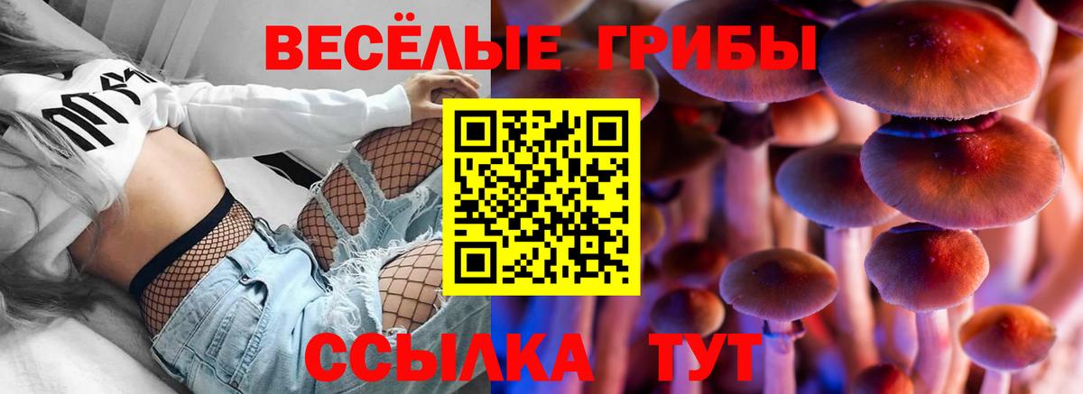 Галлюциногенные грибы MAGIC MUSHROOMS Гуково